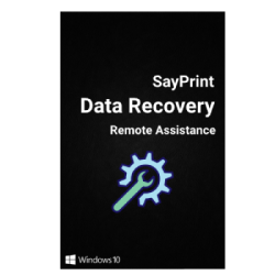 Data Recovery Assistance Remote Support